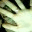 antieffbee.wordpress.com