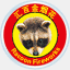 racoonfireworks.com
