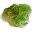 kauaifilm.wordpress.com