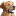 rottydogs.narod.ru