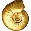 fossilienzone.at