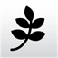 kennethkwok.me