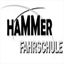 fahrschule-hammer.com