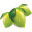 lemon-tree.nl