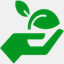 gracetogrow.org