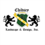 chiexec.com