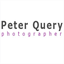 peterquery.com