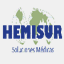 hemisur.cl