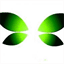 botane.info