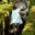 piccalilly.wordpress.com