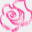 lyon-roses-2015.org