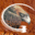 fullflight.com.au