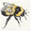 preciousbumblebee.wordpress.com