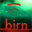 blog.thebirn.com