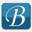 bhrobot.com