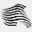 movingzebra.com