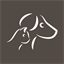 anima-solutions.fr