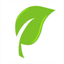 pushleaf.com