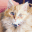 pets.liabelle.me