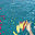 b-horizon.us