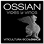ossianvinos.com
