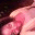 ecsubrianat.wordpress.com