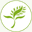 cooplamarante.com