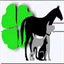 pferdeinfo.over-blog.de