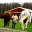 cascadingperspective.wordpress.com