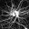 neuroflow.wordpress.com