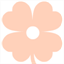 thecleverclover.com