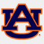 auburntigers.com