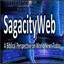 sagacityweb.com
