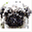 mops-otiz.de