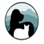 dayroadvet.com