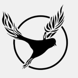 mirrorbird.com