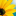 samsuncicek.net