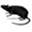 rattenkiller.net