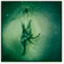 unfoldingwings.com