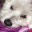 ksknightblog.wordpress.com