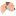 der-borderterrier.eu