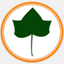 ivylanecap.com