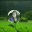 cimoettemanggung.wordpress.com