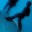 implanthr.wordpress.com