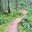 mtzoo.wordpress.com