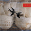 lapayev.com