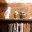 primetimeoasis.wordpress.com