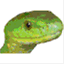 snakeman.pro