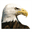 eagle-x.com