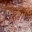 startsomewhereweb.wordpress.com